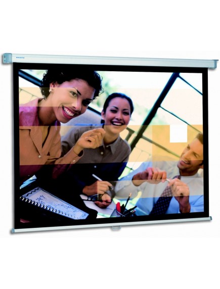 Проекционный экран Projecta SlimScreen 240x183