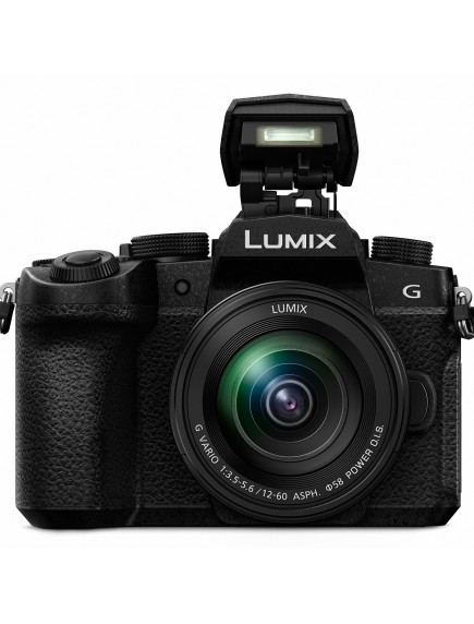 Фотоаппарат Panasonic DMC-G90 body