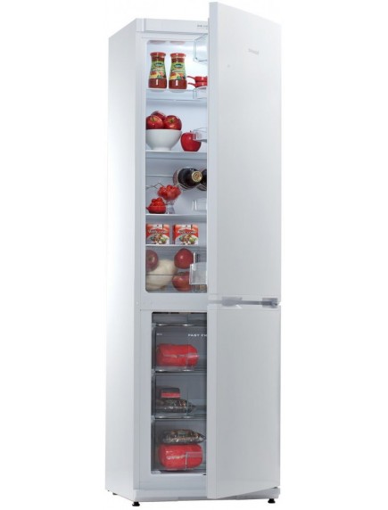 Холодильник Snaige RF36SM-S0002G 