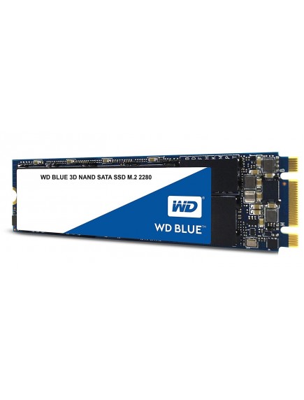 SSD WDS250G2B0B