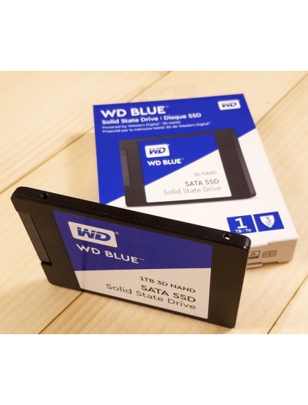 SSD WDS500G2B0A