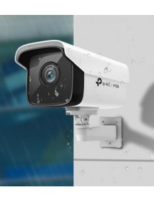 Камера видеонаблюдения TP-LINK VIGI-C300HP-4