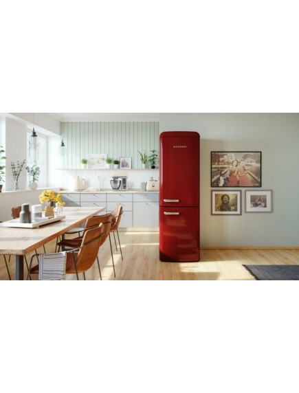 Холодильник Gorenje ONRK 619 DR