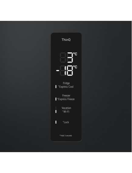 Холодильник LG GW-B509FXFW Холодильник LG GW-B509FXFW