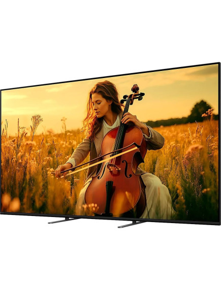 Телевизор Sony K-98XR55B