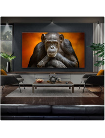 Телевизор LG OLED77G5