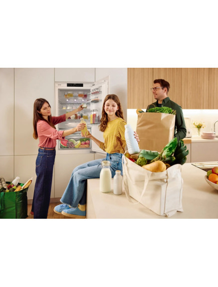 Встраиваемый холодильник Gorenje NRKI619D61WFE